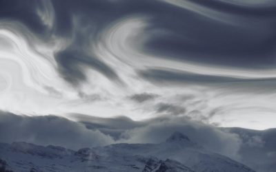 LIMA JENIS MADU TERMAHAL DI DUNIA, ANDA HARUS TAHU, PER KG ADA YANG HARGA Rp.100 JUTA…!